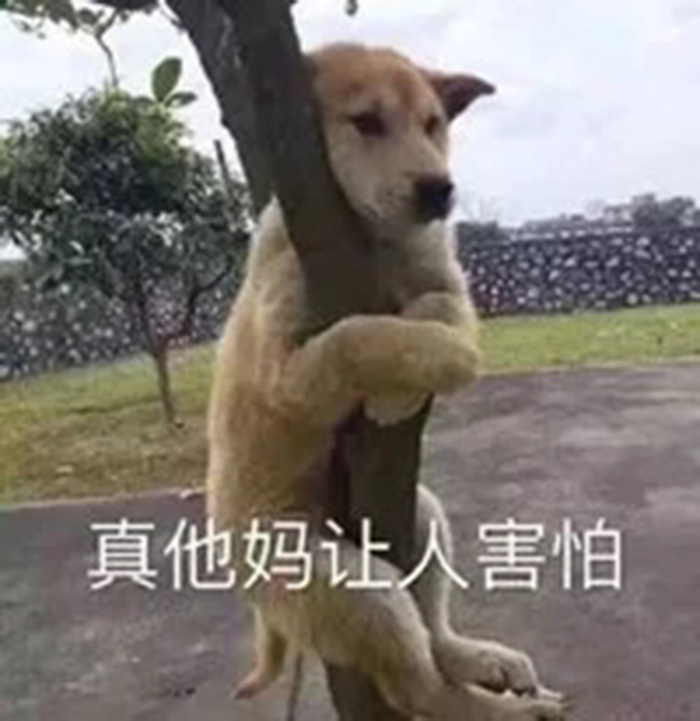 79e6148ec8cae37bb5e5f18659aaf6b7.webp.jpg